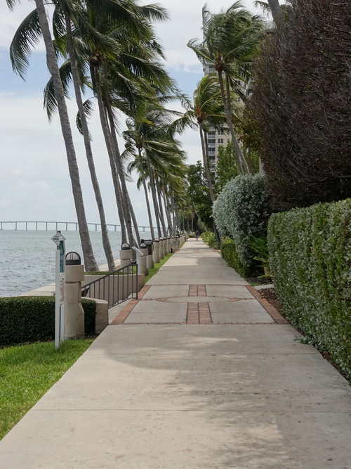 MIA_2023-08-21 14-50-04_RX_06351